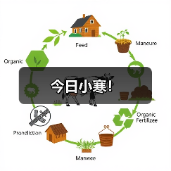 今日小寒！（图1）