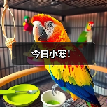 今日小寒！（图4）