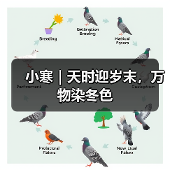 小寒｜天时迎岁末，万物染冬色（图2）
