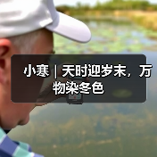 小寒｜天时迎岁末，万物染冬色（图3）