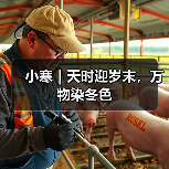 小寒｜天时迎岁末，万物染冬色（图1）