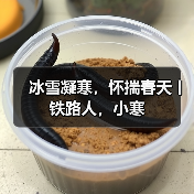 冰雪凝寒,怀揣春天丨铁路人,小寒(图4) 冰雪凝寒,怀揣春天丨铁路人,小寒(图4)