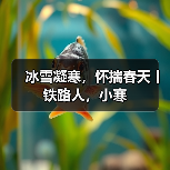 冰雪凝寒,怀揣春天丨铁路人,小寒(图2) 冰雪凝寒,怀揣春天丨铁路人,小寒(图2)