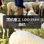 国机重工 LDD314H 压路机(图3) 国机重工 LDD314H 压路机(图3)
