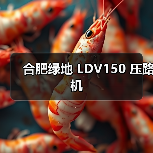 合肥绿地 LDV150 压路机(图3) 合肥绿地 LDV150 压路机(图3)