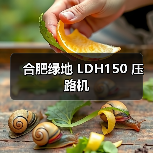 合肥绿地 LDH150 压路机(图4) 合肥绿地 LDH150 压路机(图4)