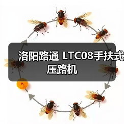 洛阳路通 LTC08手扶式 压路机(图2) 洛阳路通 LTC08手扶式 压路机(图2)