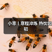 小寒丨寒程淬炼 热忱如初（图1）