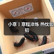 小寒丨寒程淬炼 热忱如初（图2）