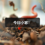 今日小寒！（图2）
