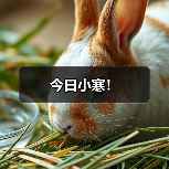 今日小寒！（图3）