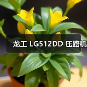 龙工 LG512DD 压路机(图1) 龙工 LG512DD 压路机(图1)