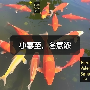 小寒至，冬意浓（图1）