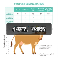 小寒至，冬意浓（图4）