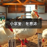小寒至，冬意浓（图2）