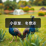 小寒至，冬意浓（图3）