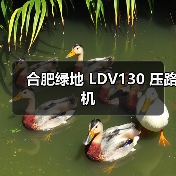 合肥绿地 LDV130 压路机（图1）