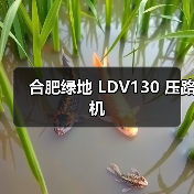 合肥绿地 LDV130 压路机（图2）