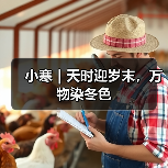 小寒｜天时迎岁末，万物染冬色（图4）