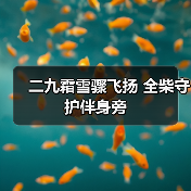 二九霜雪骤飞扬 全柴守护伴身旁（图1）