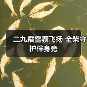 二九霜雪骤飞扬 全柴守护伴身旁（图3）