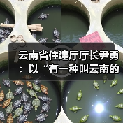 云南省住建厅厅长尹勇：以“有一种叫云南的生活”促进“住有优居（图3）