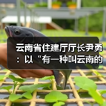 云南省住建厅厅长尹勇：以“有一种叫云南的生活”促进“住有优居（图4）