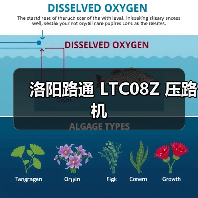 洛阳路通 LTC08Z 压路机(图2) 洛阳路通 LTC08Z 压路机(图2)