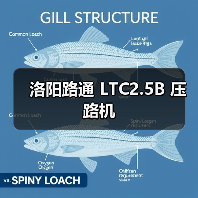 洛阳路通 LTC2.5B 压路机(图3) 洛阳路通 LTC2.5B 压路机(图3)