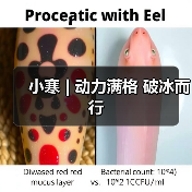 小寒 | 动力满格 破冰而行（图4）