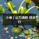 小寒 | 动力满格 破冰而行（图1）