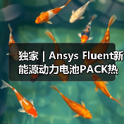 独家 | Ansys Fluent新能源动力电池PACK热仿（图1）