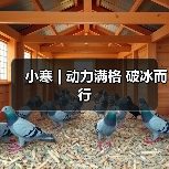 小寒 | 动力满格 破冰而行（图2）