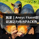 独家 | Ansys Fluent新能源动力电池PACK热仿（图2）