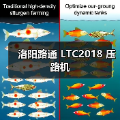 洛阳路通 LTC2018 压路机(图1) 洛阳路通 LTC2018 压路机(图1)