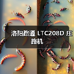 洛阳路通 LTC208D 压路机(图4) 洛阳路通 LTC208D 压路机(图4)