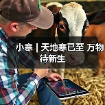 小寒 | 天地寒已至 万物待新生（图1）