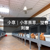 小寒|小寒虽寒,望春则暖(图4) 小寒|小寒虽寒,望春则暖(图4)
