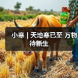 小寒 | 天地寒已至 万物待新生（图3）