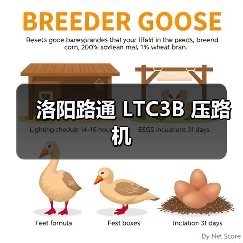 洛阳路通 LTC3B 压路机（图3）
