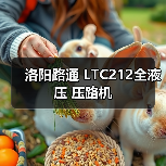 洛阳路通 LTC212全液压 压路机(图4) 洛阳路通 LTC212全液压 压路机(图4)