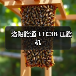 洛阳路通 LTC3B 压路机（图4）