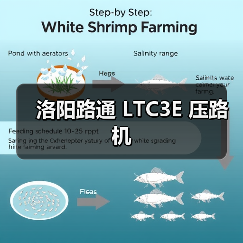 洛阳路通 LTC3E 压路机(图1) 洛阳路通 LTC3E 压路机(图1)
