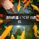 洛阳路通 LTC3F 压路机(图4) 洛阳路通 LTC3F 压路机(图4)