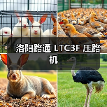 洛阳路通 LTC3F 压路机(图1) 洛阳路通 LTC3F 压路机(图1)