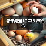 洛阳路通 LTC3B 压路机（图1）