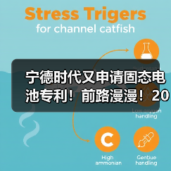 宁德时代又申请固态电池专利!前路漫漫!2027年有望实现小批(图1) 宁德时代又申请固态电池专利!前路漫漫!2027年有望实现小批(图1)