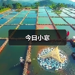 今日小寒（图1）