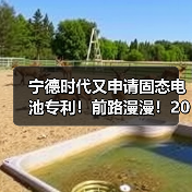 宁德时代又申请固态电池专利!前路漫漫!2027年有望实现小批(图2) 宁德时代又申请固态电池专利!前路漫漫!2027年有望实现小批(图2)