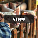 今日小寒（图3）